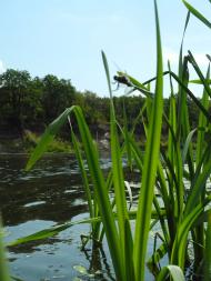 Пархоменко з panoramio.com