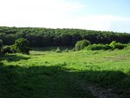 Борщівка з panoramio.com