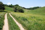 Краснокутськ з panoramio.com