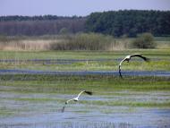 Колки з panoramio.com