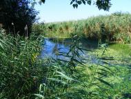 Стара Збур'ївка - Останні фото