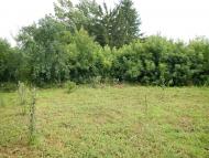 Черемошне з panoramio.com