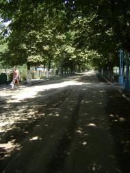 Курортне з panoramio.com