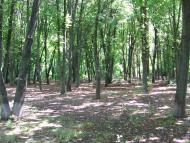 Жовтневий Промінь з panoramio.com