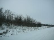 Марьяновка - Последние фото