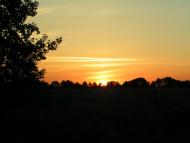 Галаганівка - Останні фото