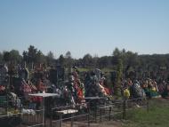Матвіївка з panoramio.com