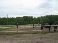 Седнів з panoramio.com