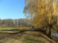 Половецьке з panoramio.com