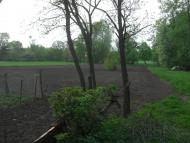 Галка з panoramio.com