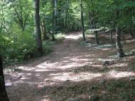 Виноградний - Останні фото