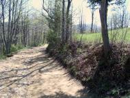 Космач з panoramio.com