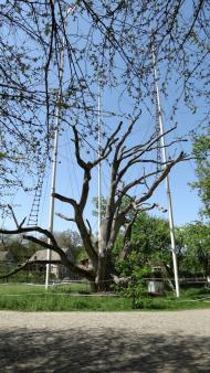 Високогірне з panoramio.com