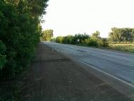 Копистин з panoramio.com