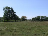 Жовтневий Промінь з panoramio.com