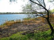 Озерне з panoramio.com