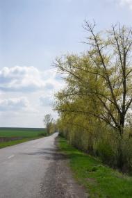 Карлівка з panoramio.com