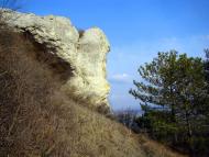 Партизанське з panoramio.com