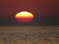 Осипенко з panoramio.com