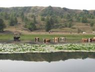 Балаклія з panoramio.com