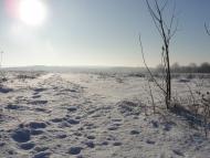 Червона Чагарівка