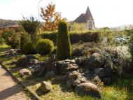 'Сонячна Поляна' у Поляні