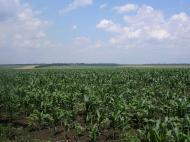 Урицьке - Останні фото