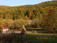 'Сонячна Поляна' у Поляні