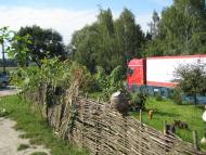 КУРОЗВАНИ 2010