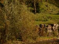 'Сонячна Поляна' у Поляні