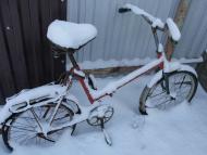 Червона Чагарівка