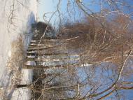 Червона Чагарівка