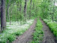 Добрий день Погоріла!