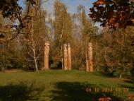 'Сонячна Поляна' у Поляні