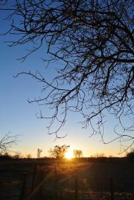 Луки - Останні фото