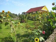 КУРОЗВАНИ 2010