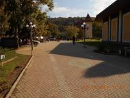 'Сонячна Поляна' у Поляні