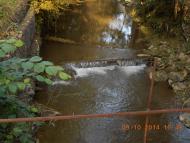 'Сонячна Поляна' у Поляні