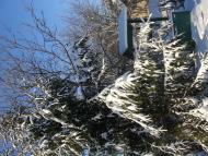 Червона Чагарівка