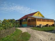 КУРОЗВАНИ 2010