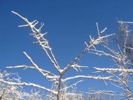 Червона Чагарівка - Останні фото