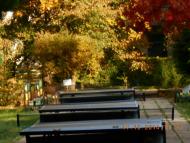 'Сонячна Поляна' у Поляні