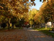 'Сонячна Поляна' у Поляні