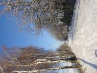 Червона Чагарівка