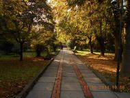 'Сонячна Поляна' у Поляні