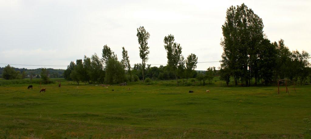 Верхівське з panoramio.com - Верхівське