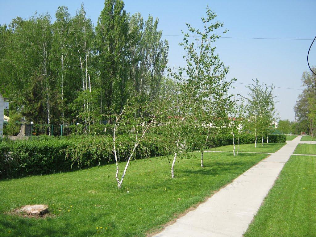 Менжинське з panoramio.com - Менжинське