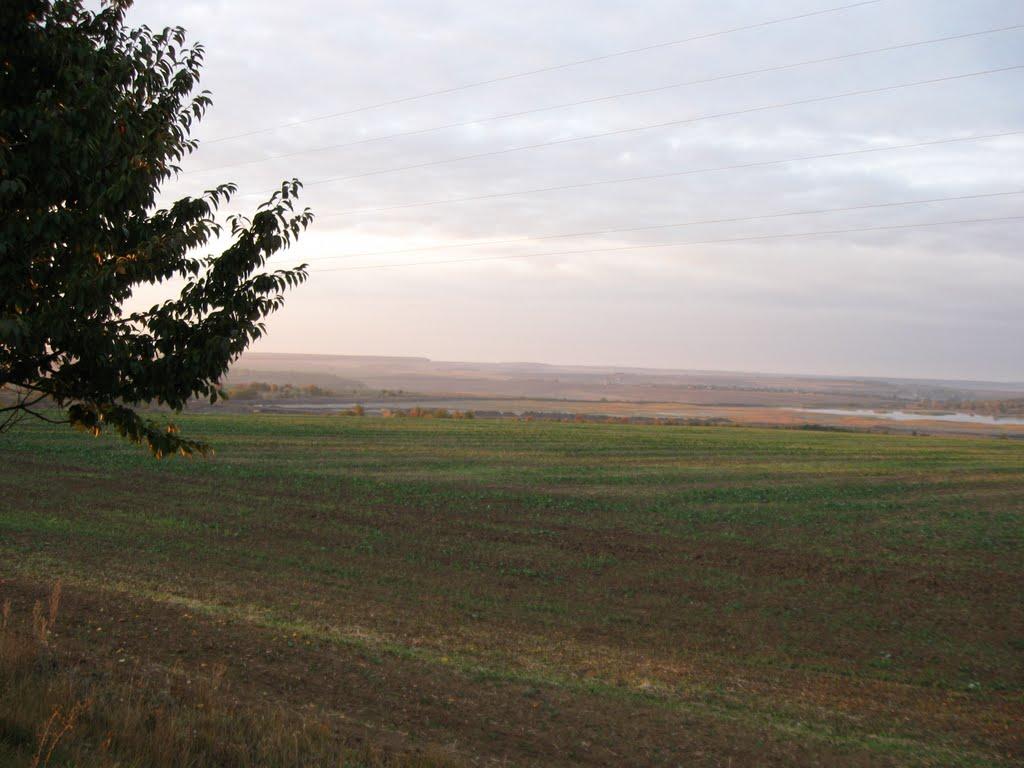 Заозерне з panoramio.com - Заозерне