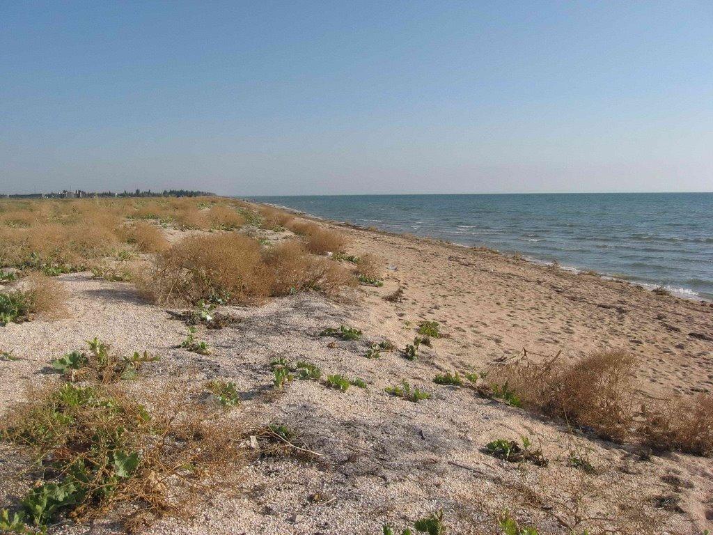 Щасливцеве з panoramio.com (ч.2) - Счастливцево