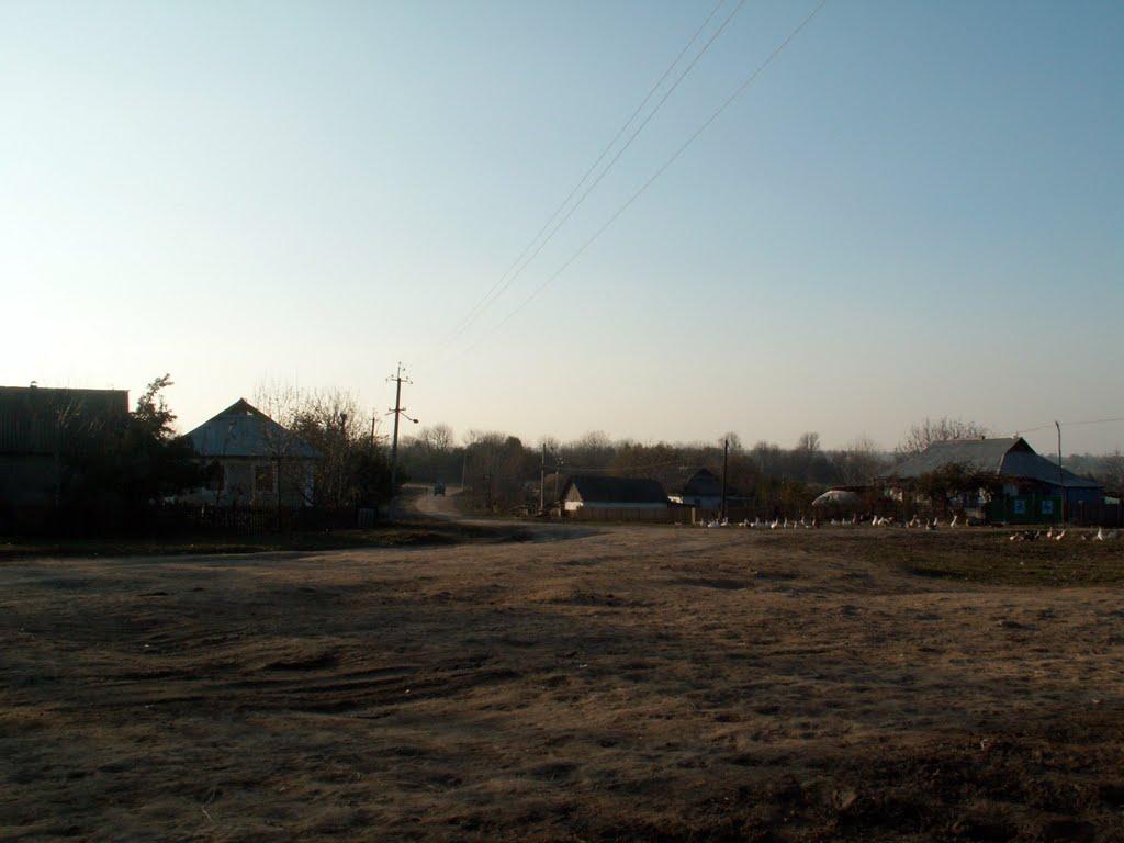 Крикливець з panoramio.com - Крикливець